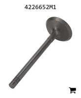 AGCO 4226652M1 Впускной клапан