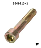 AGCO 3009313X1 Винт с цилиндрической головкой и шестигранным углублением