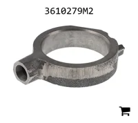 AGCO 3610279M2 Кольцо