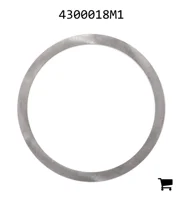 AGCO 4300018M1 Регулировочная шайба