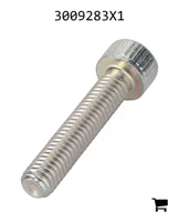 AGCO 3009283X1 Винт с цилиндрической головкой и шестигранным углублением