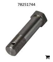 AGCO 70251744 Винт