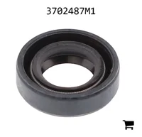 AGCO 3702487M1 Уплотнение