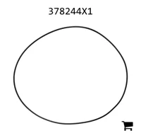 AGCO 378244X1 Уплотнительное кольцо