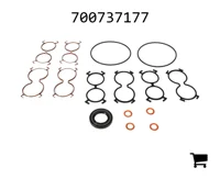 AGCO 700737177 Комплект сальников