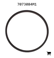 AGCO 7073084M1 Уплотнительное кольцо