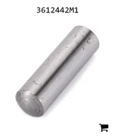 AGCO 3612442M1 Игольчатый ролик