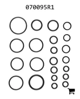 AGCO 070095R1 Ремкомплект