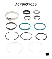 AGCO ACP0697630 Ремкомплект