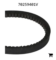 AGCO 70259401V Ремень