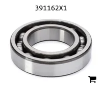 AGCO 391162X1 Цилиндрический шариковый подшипник