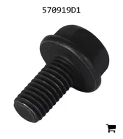 AGCO 570919D1 Болт с фланцем