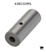 AGCO 4301319M1 Палец вилки