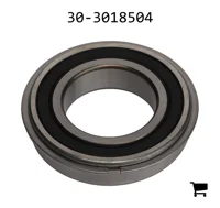 AGCO 30-3018504 Опора