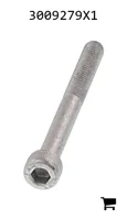 AGCO 3009279X1 Винт с цилиндрической головкой и шестигранным углублением