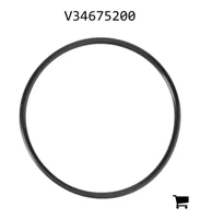 AGCO V34675200 Быстроразъемная муфта