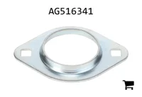 AGCO AG516341 Самоцентрирующийся фланцевый подшипниковый узел с двумя болтами