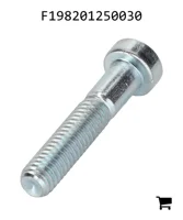 AGCO F198201250030 Винт