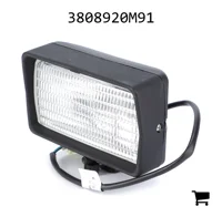 AGCO 3808920M91 Фара рабочего света с лампой H3