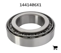 AGCO 1441406X1 Конический роликовый подшипник задней оси