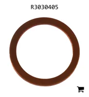 AGCO R3030405 Шайба