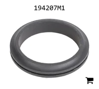 AGCO 194207M1 Прокладка