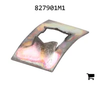 AGCO 827901M1 Шайба