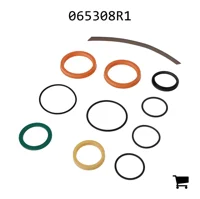 AGCO 065308R1 Ремкомплект