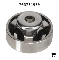 AGCO 700731939 Впускной клапан