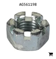 AGCO AG561198 Гайка