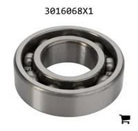 AGCO 3016068X1 Шариковый подшипник