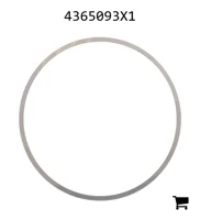AGCO 4365093X1 Регулировочная шайба