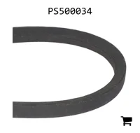 AGCO PS500034 Ремень