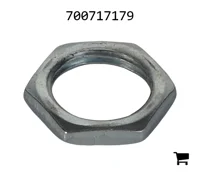 AGCO 700717179 Гайка