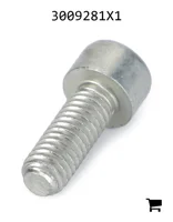 AGCO 3009281X1 Винт с внутренним шестигранником