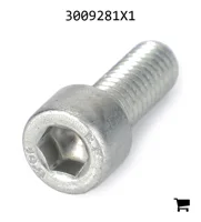 AGCO 3009281X1 Винт с внутренним шестигранником