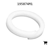 AGCO 195874M1 Шайба