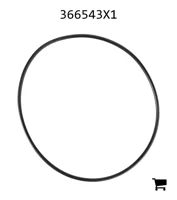 AGCO 366543X1 Уплотнительное кольцо
