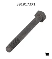 AGCO 3010173X1 Болт с шестигранной головкой