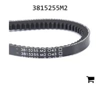 AGCO 3815255M2 Ремень клиновой