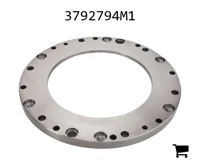 AGCO 3792794M1 Поршень