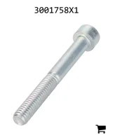 AGCO 3001758X1 Винт с внутренним шестигранником