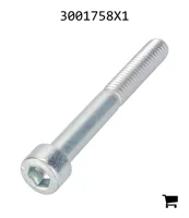 AGCO 3001758X1 Винт с внутренним шестигранником
