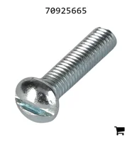 AGCO 70925665 Винт