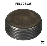 AGCO FEL128125 Винт-заглушка