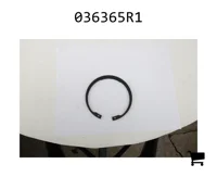 AGCO 036365R1 Кольцо