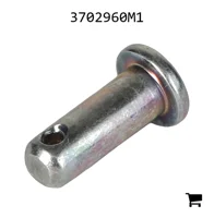 AGCO 3702960M1 Палец