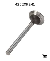 AGCO 4222896M1 Выпускной клапан