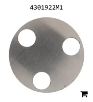 AGCO 4301922M1 Шайба