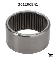 AGCO 3612068M1 Игольчатый подшипник